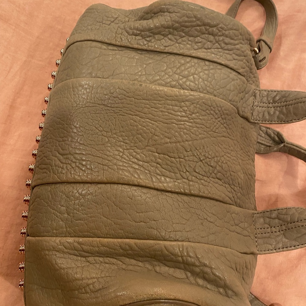 ALEXANDER WANG
Pebbled Lambskin Rocco Latte Rose Gold Hardware - Picture 6 of 16